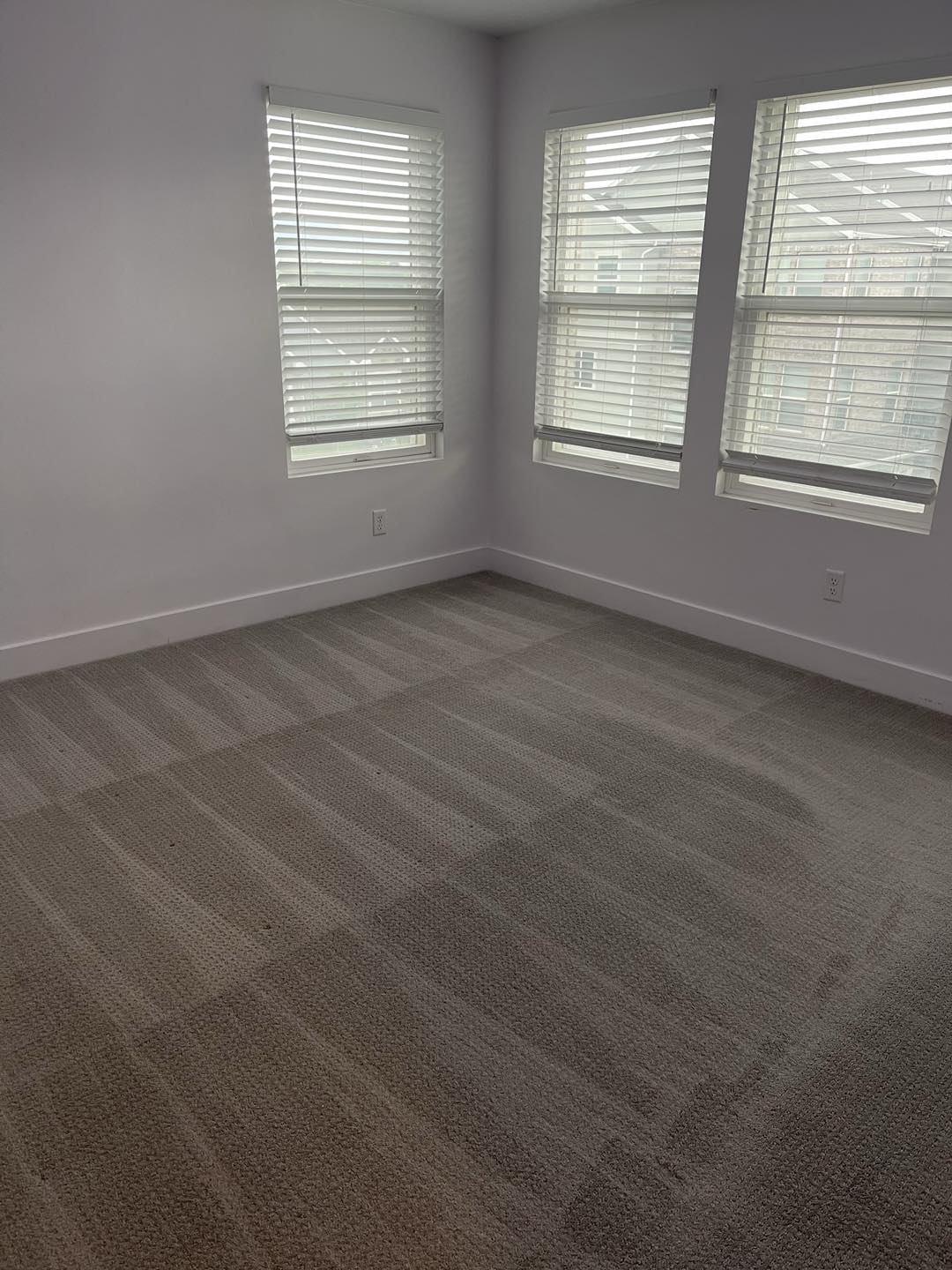 Clean Move-Out