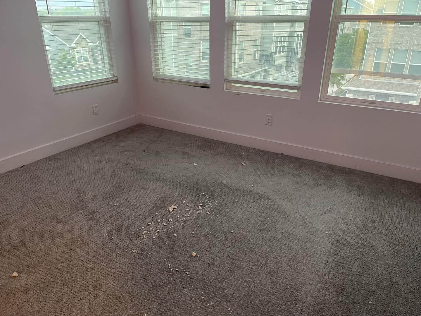 Dirty Move-Out